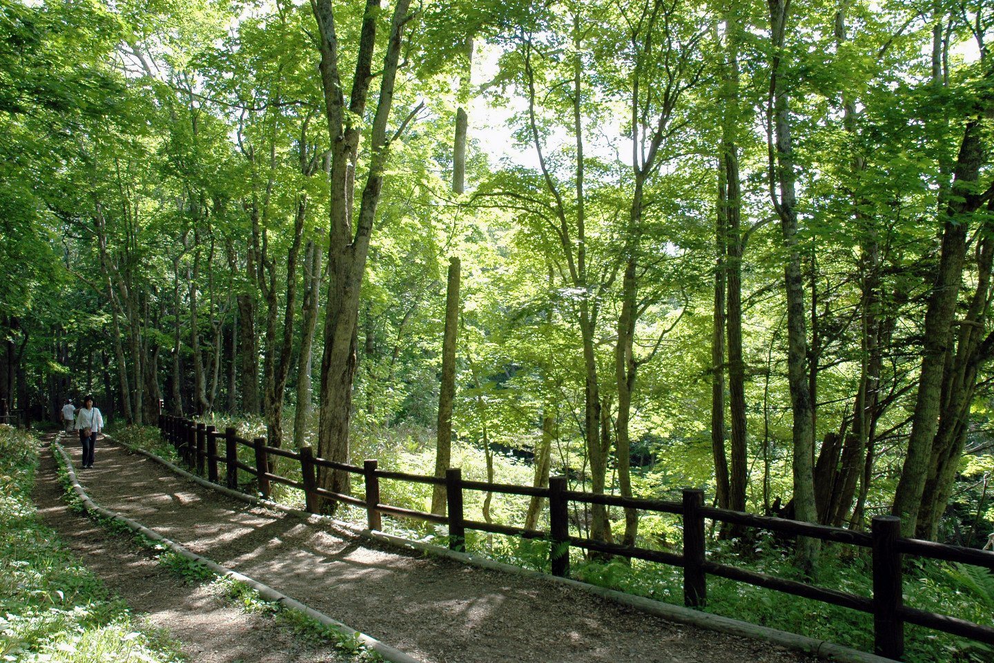 ♨️ 끓는 진흙 화산(봇케) 이미지 5